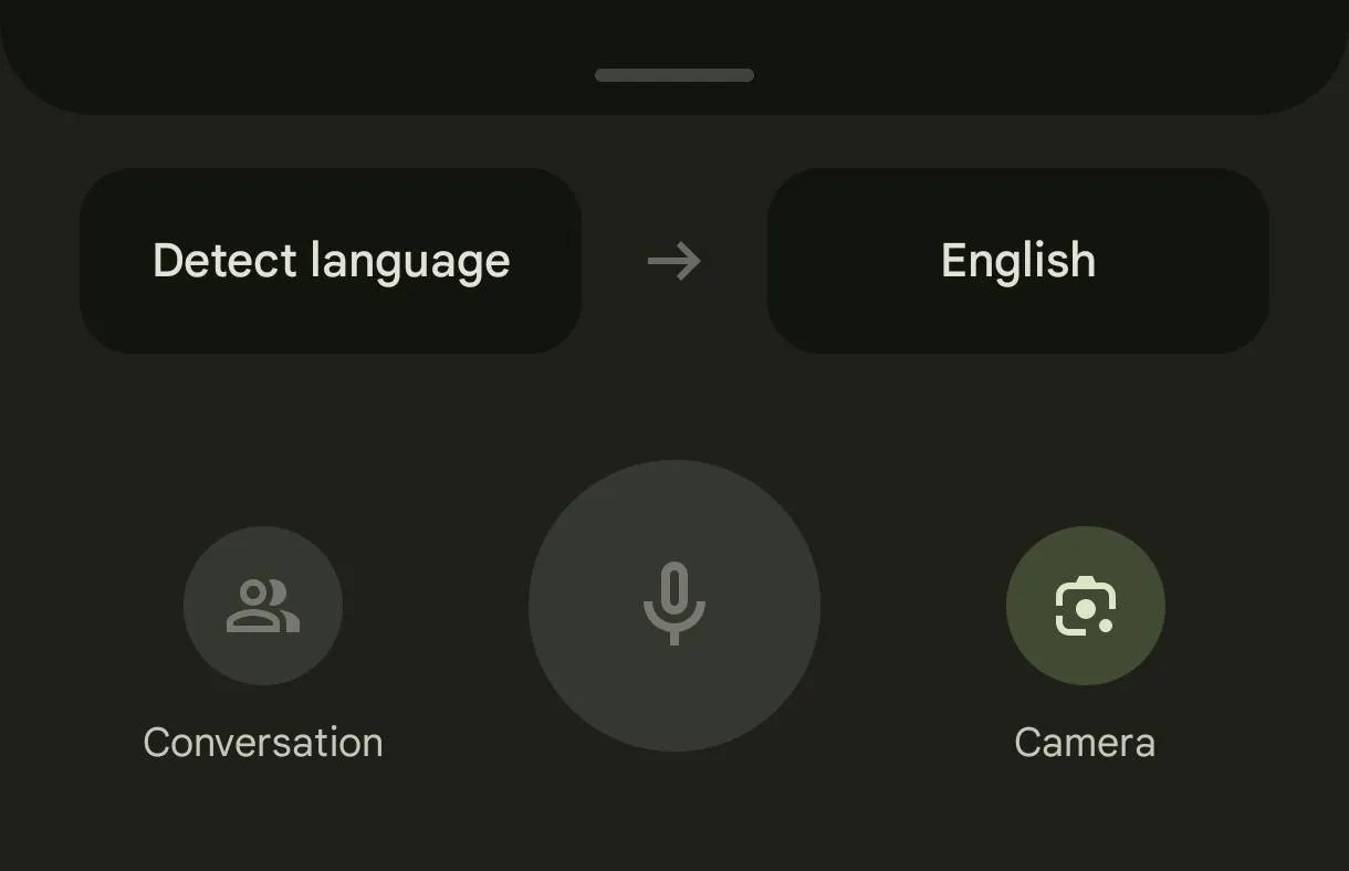 Google Translate interface screenshot with the Camera button